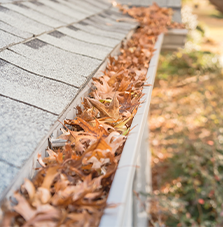 Gutter Cleaning